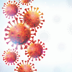 International Infection Control Course